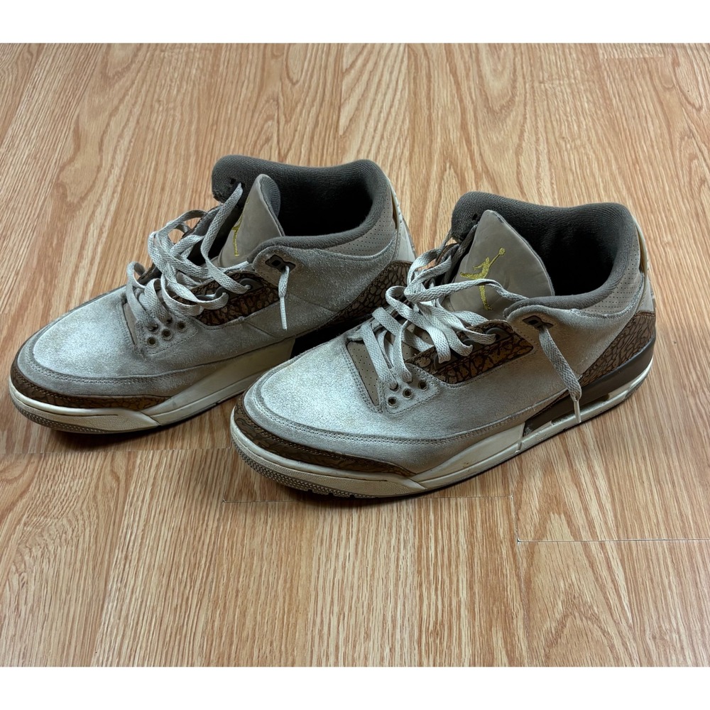 Nike Air Jordan 3 Retro Palomino Light Orewood Brown CT8532-102 Mens 11